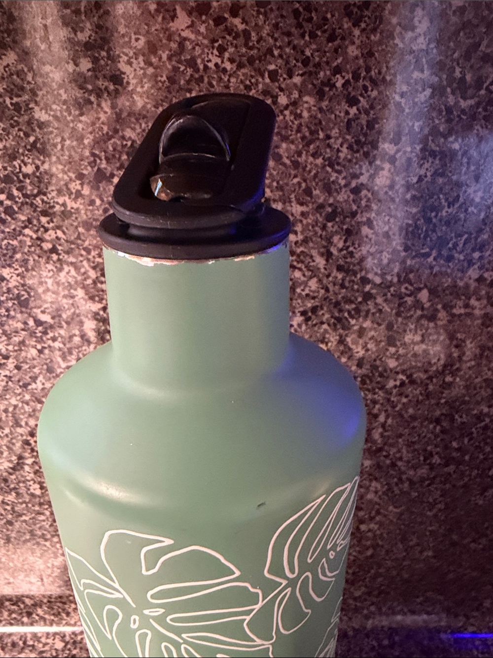 Brumate Monstera Special Edition Rehydration Bottle 25 Ounces - Picture 3 of 8